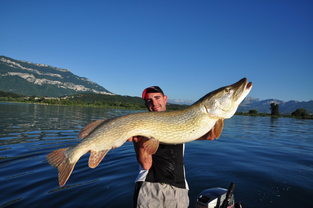 Jimmy Maistrello, guide de pêche en Savoie Haute Savoie Annecy Bourget Léman 