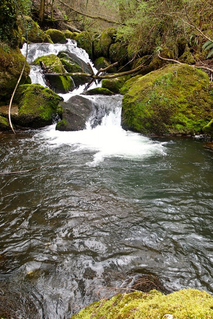 Stages pêche enfants ados rivière Savoie, Haute-Savoie, truite