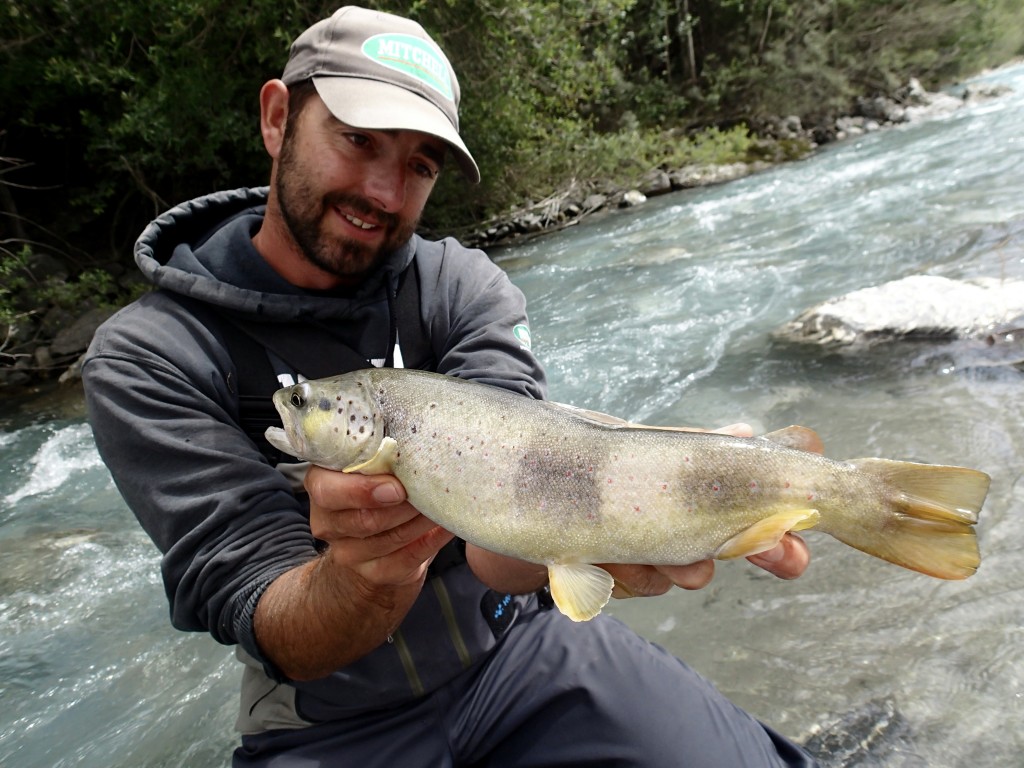 truite et ombre en rivière 